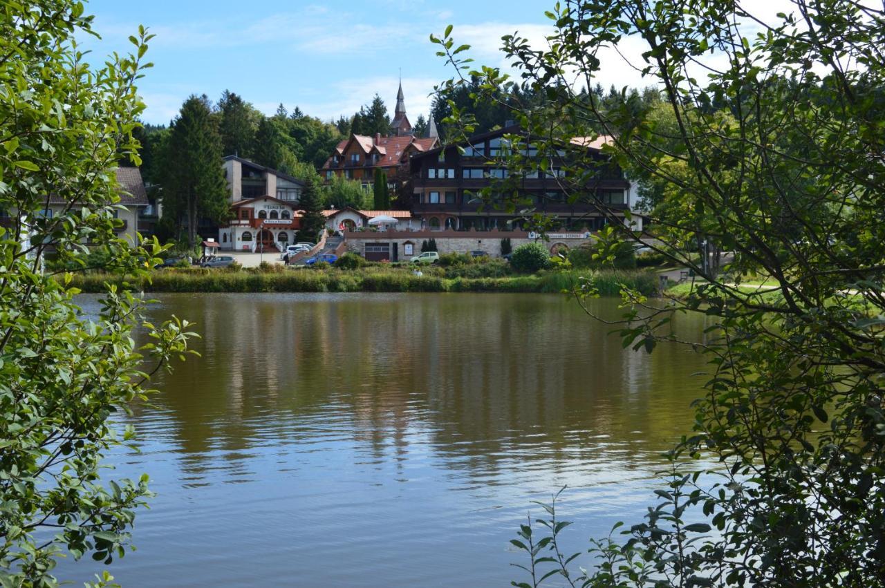 Ferienwohnung Hahnenklee Goslar Exterior foto